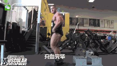 大体重腿部爆发力训练方法,固定器械腿部增肌训练