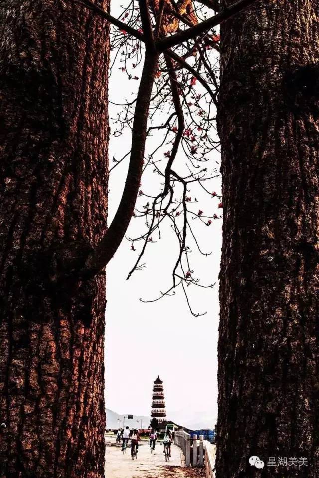 肇庆风水最旺的地方,肇庆市的风水格局