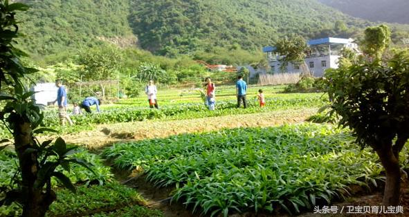 让宝宝爱上吃水果的小妙招有哪些,让孩子爱上吃蔬菜的办法