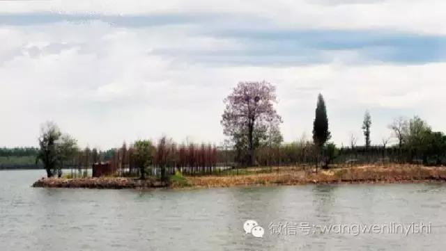 胸骨裂的发病问题