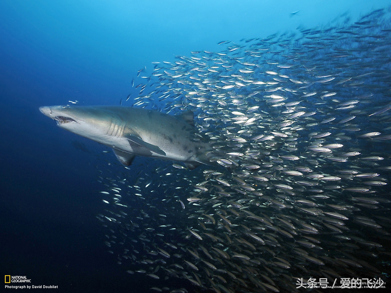 书籍推荐中国国家地理,中国国家地理推荐哪一本