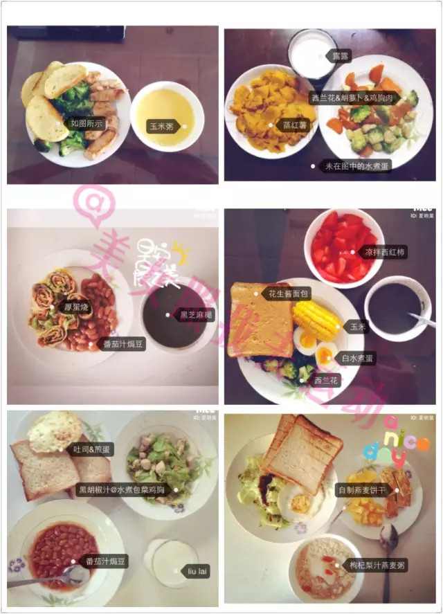 我的健身运动体会,我的健身感悟300字