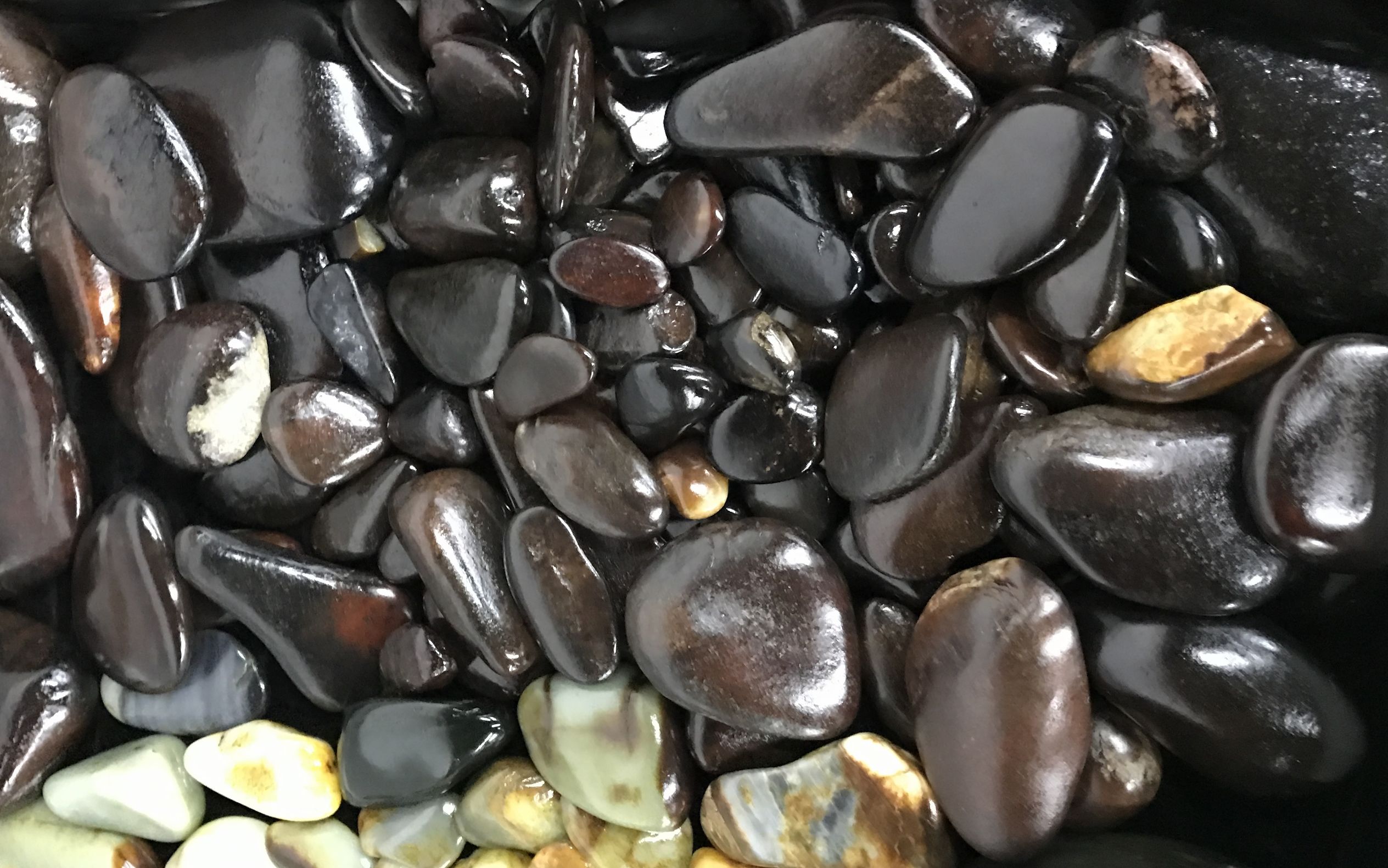 当心!你天价买来的可能只是一块石头