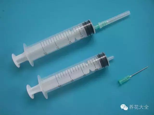 别人扔掉的针管，我拿来养花，特别好用