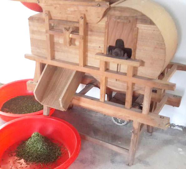 信阳毛尖制作全过程图,信阳毛尖的制作过程