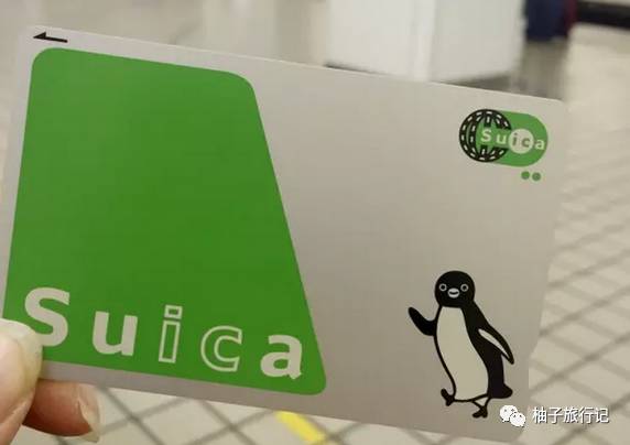 樱花旅行记全集视频,樱花季日本14天旅游攻略