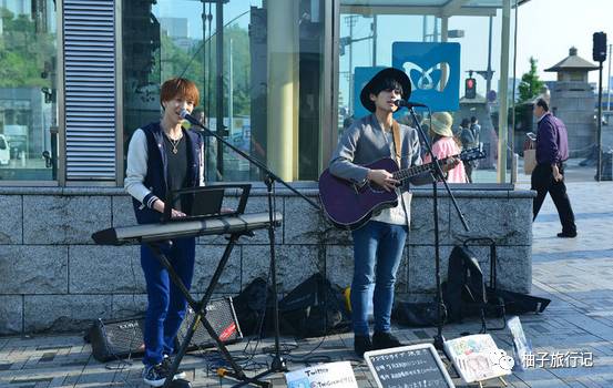 樱花旅行记全集视频,樱花季日本14天旅游攻略