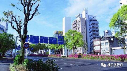 樱花旅行记全集视频,樱花季日本14天旅游攻略