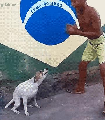 那些年*辱侮**我们智商的剧情,今天才发现深深被套路了~被套路了~