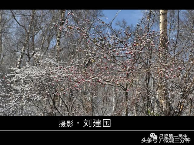 岚县野鸡山位于哪里,山西吕梁山雪景图片