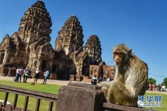 用马哲原理分析现实问题,用马哲原理分析军大衣