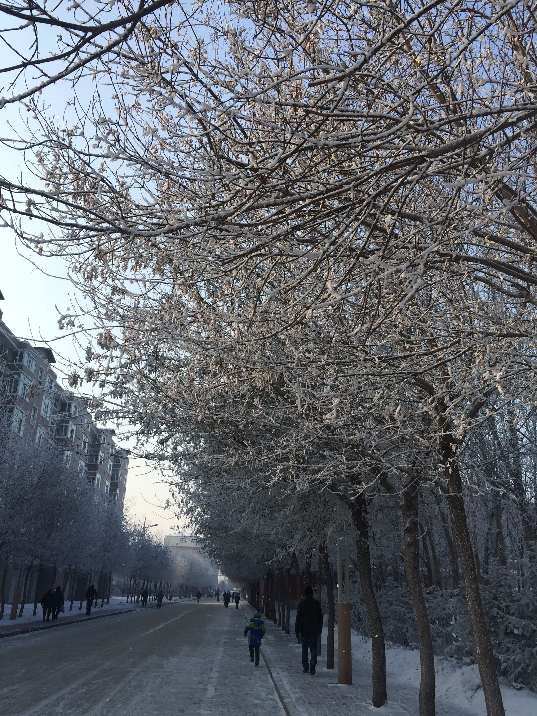 我一直跟着叔儿驱邪，直到有一天被鬼缠上了