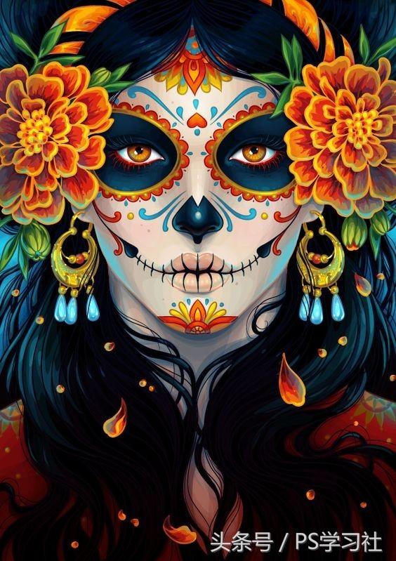 如何系统学习illustrator(Ai),快速入门指南