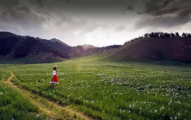 各个省份选美大赛,甘肃选美大赛冠军