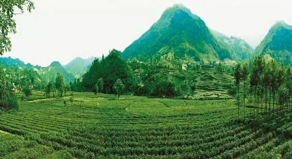 各个省份选美大赛,甘肃选美大赛冠军