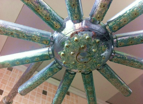 花洒淋浴套装,淋浴花洒选择什么颜色好