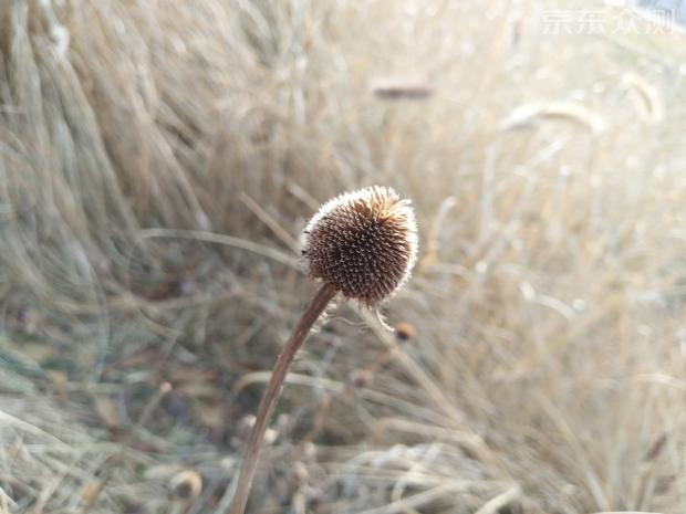 vivox9测评体验,vivox9测评视频