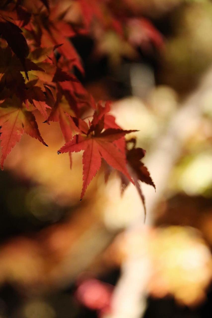 日本关西温泉圣地,日本关西房间内温泉
