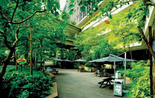 比肩新加坡邱德拔医院的深圳市福田人民医院长啥样，让你看个够