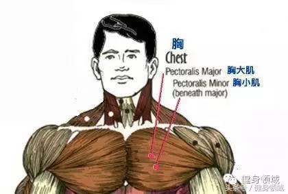 6个技巧让你训练计划更有效,制定一份简单的中小学训练计划