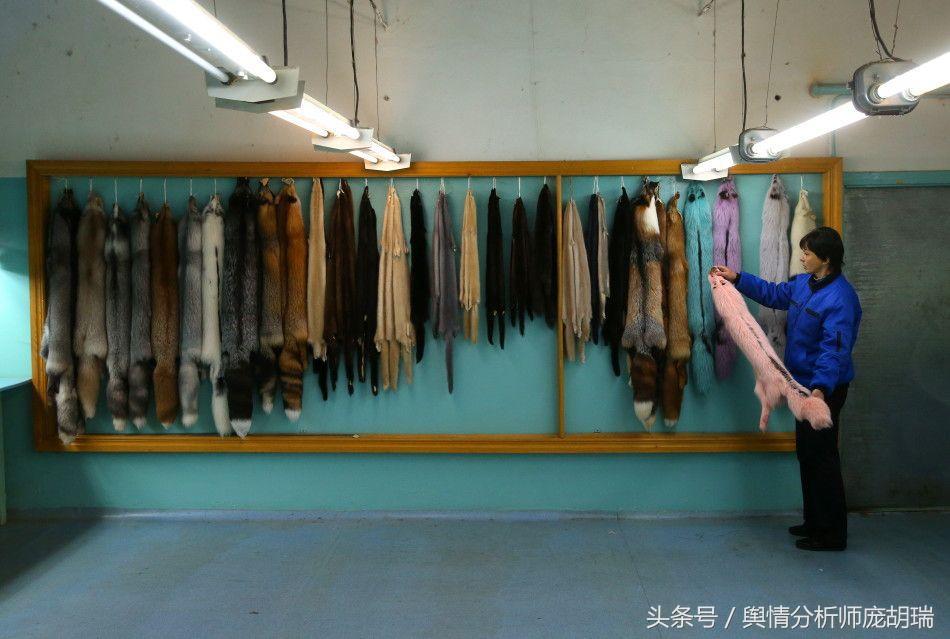 对抗中国假货,俄罗斯强推皮毛电子标签