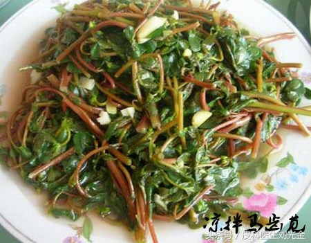 什么草有毒但能治皮肤病,农村常见的草都是治什么病的