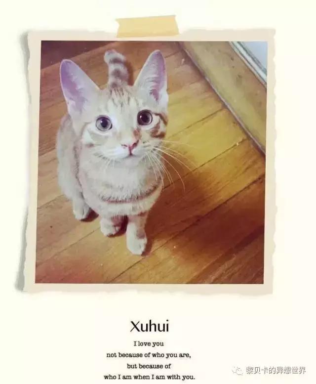 致爱我的人,致爱我的人2020年