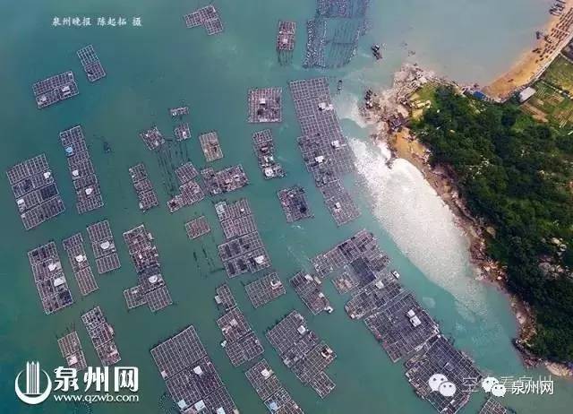 你以为这是“垃圾”！却不知有人这样用它们赚大钱！