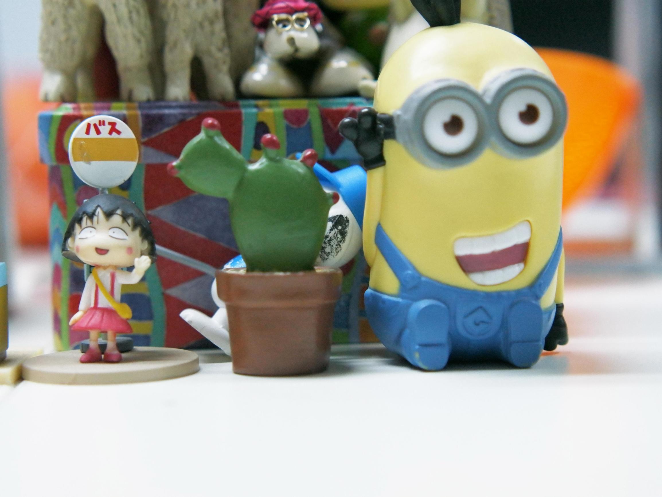 国产数码相机崛起,小蚁微单有哪些