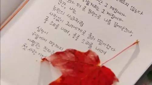 担心《鬼怪》会烂尾？然而我只操心CP站死鬼夫夫还是大叔配萝莉