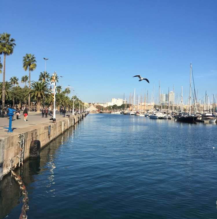 巴塞罗那诺坎普球赛,巴塞罗那诺坎普攻略