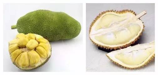 逛水果批发市场拿货,山东十大水果批发市场