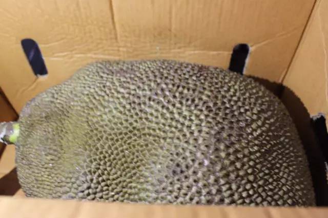 逛水果批发市场拿货,山东十大水果批发市场