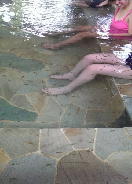 泡温泉是对冬天最起码的尊重！韵航推荐半月山温泉之旅