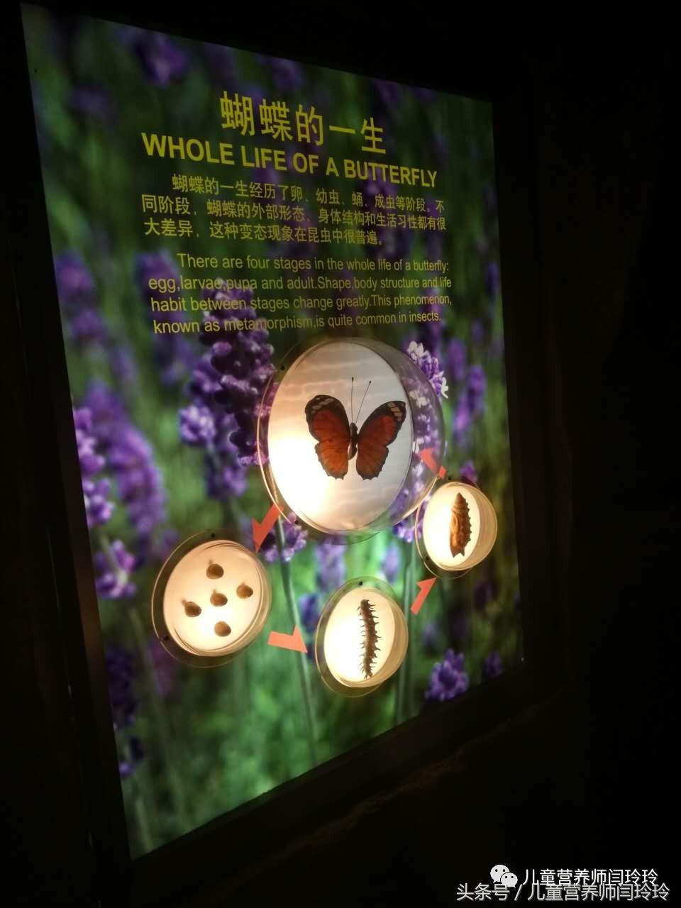 上海天文馆和科技馆哪个更值得去,上海儿童科技馆游玩攻略图片