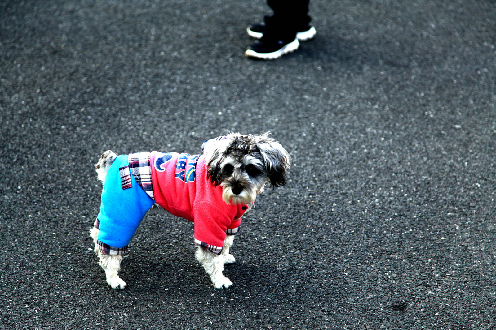 斯巴鲁车主探险,斯巴鲁适合自驾游