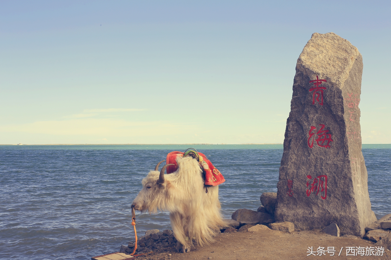 刀郎《西海情歌》背后的故事,刀郎的西海情歌指的是哪里的海