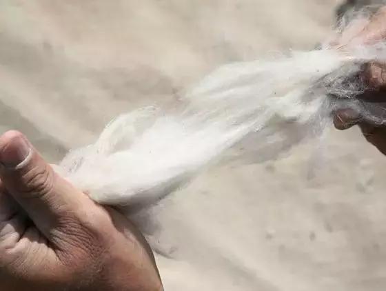 随随便便买一柜子围巾，不如花血本买这三条