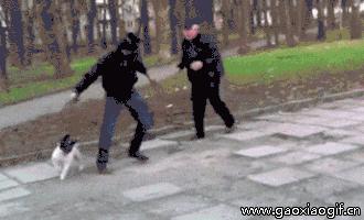 快递分拣都怎么分拣,你知道快递经过哪些步骤吗