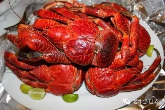 免签岛国斐济颠覆你对潜水的感官体验