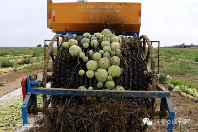 开着房车旅行说走就走,说走就走出去玩视频