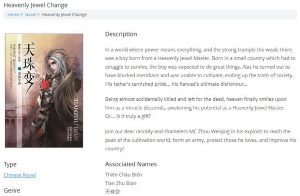 十大受外国人欢迎的中国网络小说,外国人公认最好看的中国小说