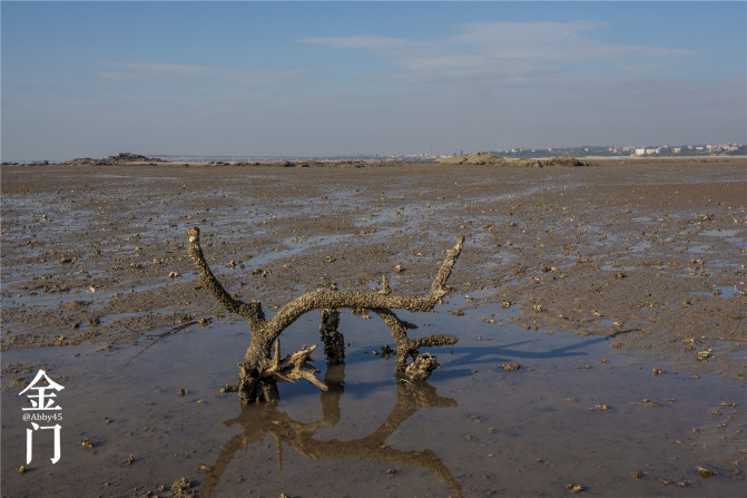 厦门金门旅行攻略,厦门夜游金门旅游攻略