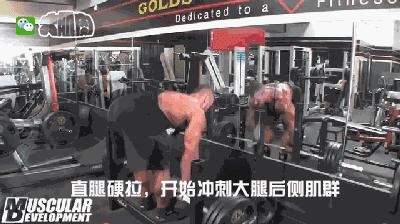大体重腿部爆发力训练方法,固定器械腿部增肌训练