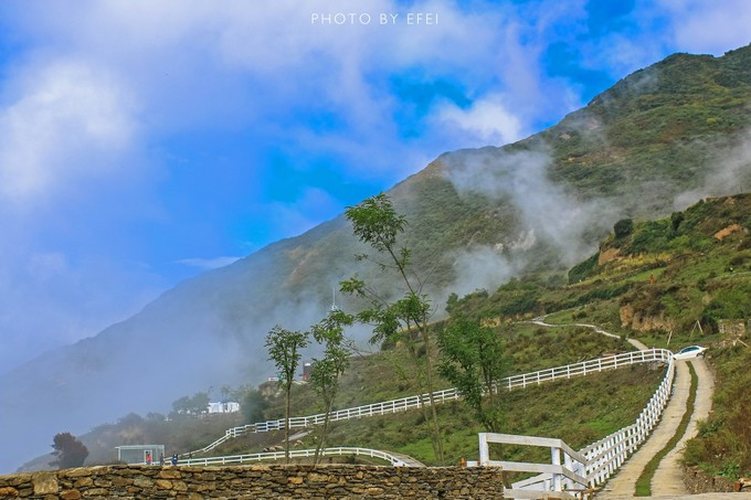 朋友圈里的新网红“浮云牧场”为何成功？