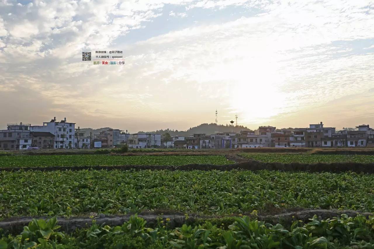 去连州有什么好玩的,清远连州旅游详细攻略