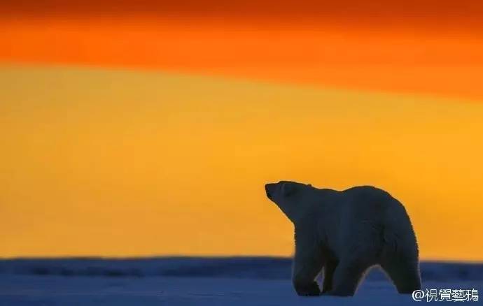 微观茶市丨平台交易或成新常态