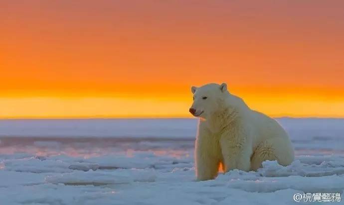 微观茶市丨平台交易或成新常态
