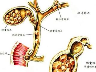 b超知识好不好学,b超要了解什么
