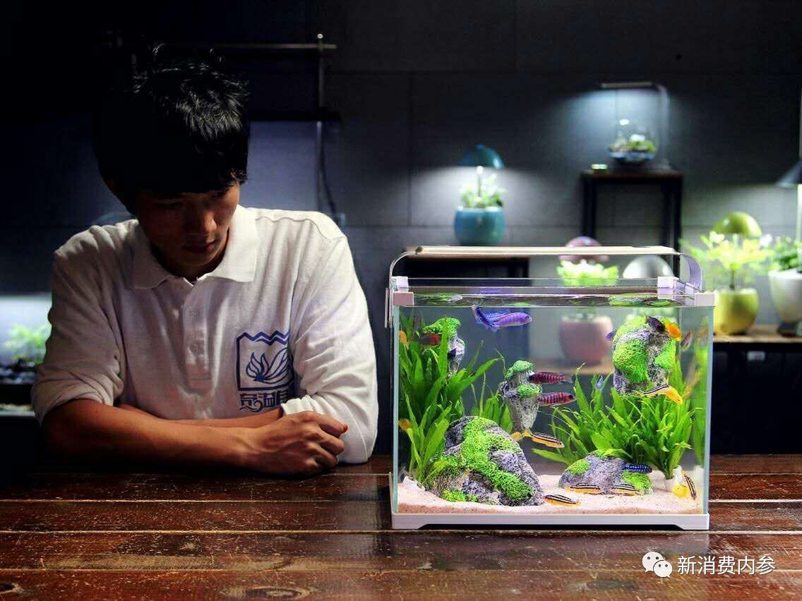 奇溢自然智能鱼缸,奇溢自然鱼缸怎么样